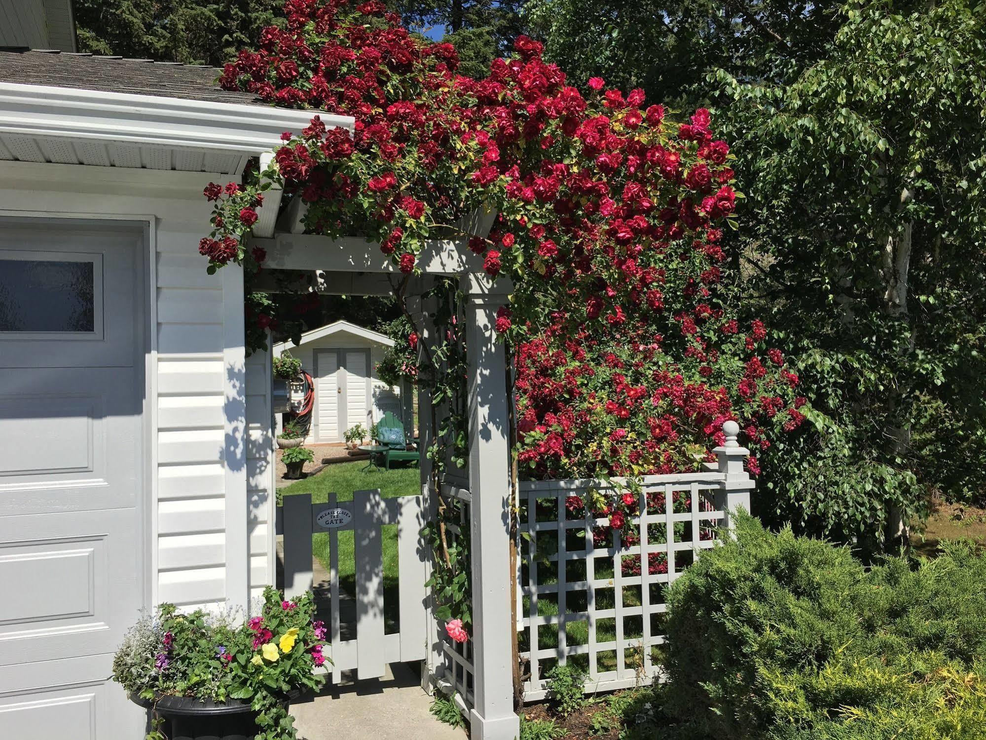 Alexandria House Bed & Breakfast West Kelowna Esterno foto